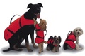 Záchranné vesty pro psy 