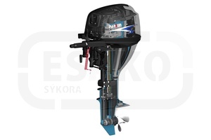 Lodní motor Parsun F5 BMS