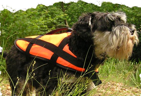 Záchranná vesta M pro psa do 8 - 15 kg 